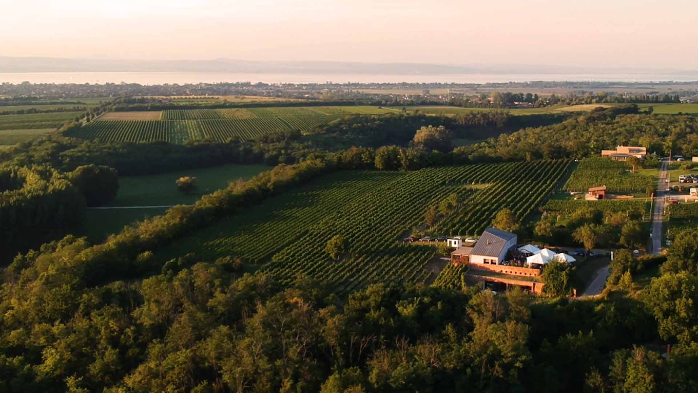 Panorámával kísért gasztrotúra a Kishegyen: 5 borászat, ahol remek borok és nagyszerű ízek várnak