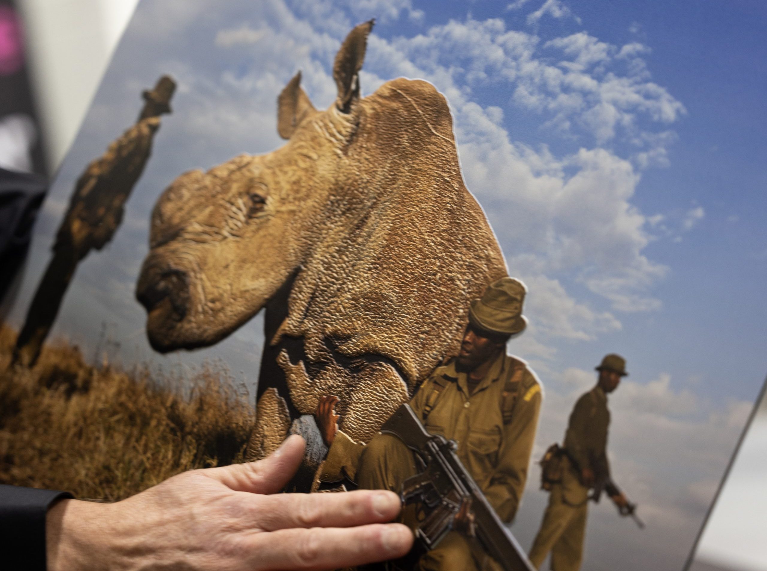 Egyedülálló, ingyenes fotókiállítás érkezik az Allee Bevásárlóközpontba – és ezt nem csak látnotok kell!