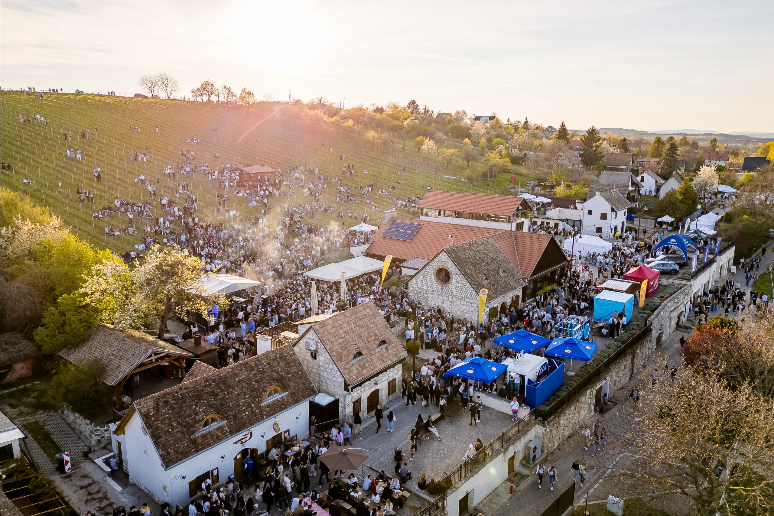 Őszi programözön országszerte: 13 kihagyhatatlan esemény 2025 októberében