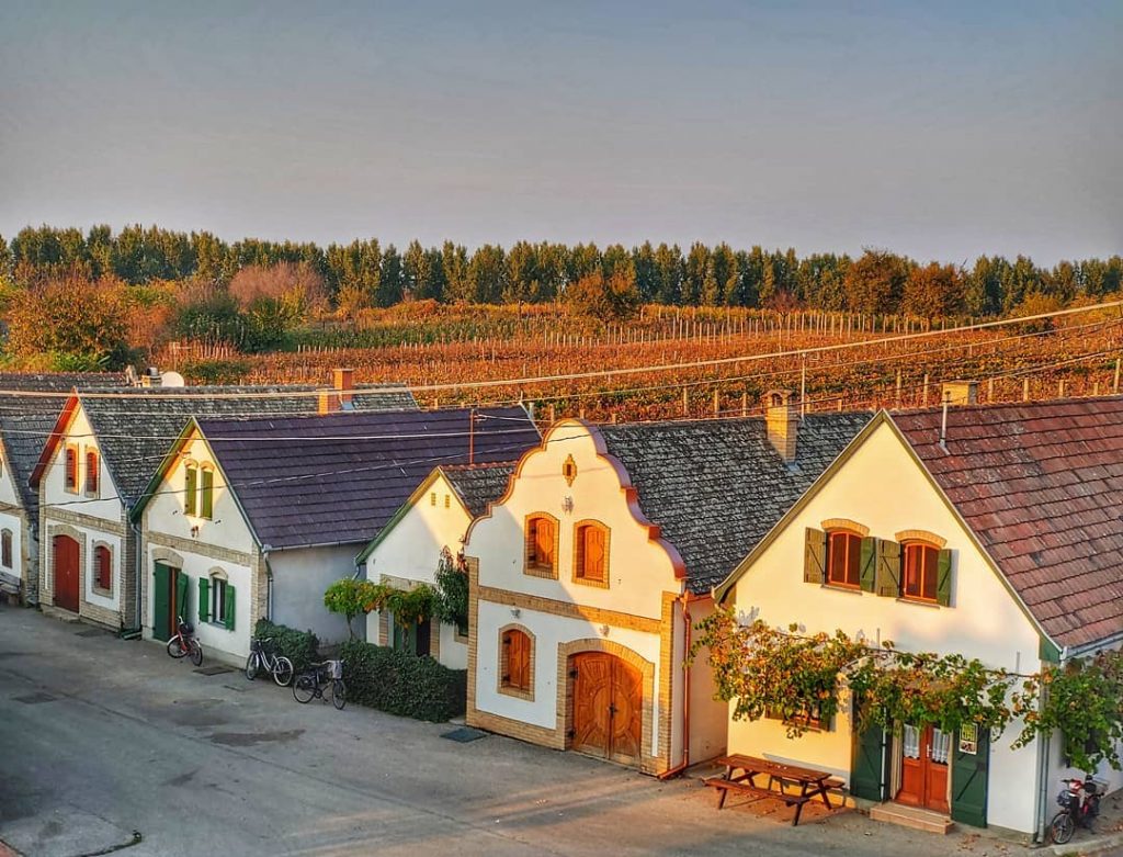 Ősz, október, kitekintő, programok, kultúra, gasztronómia, Magyarország