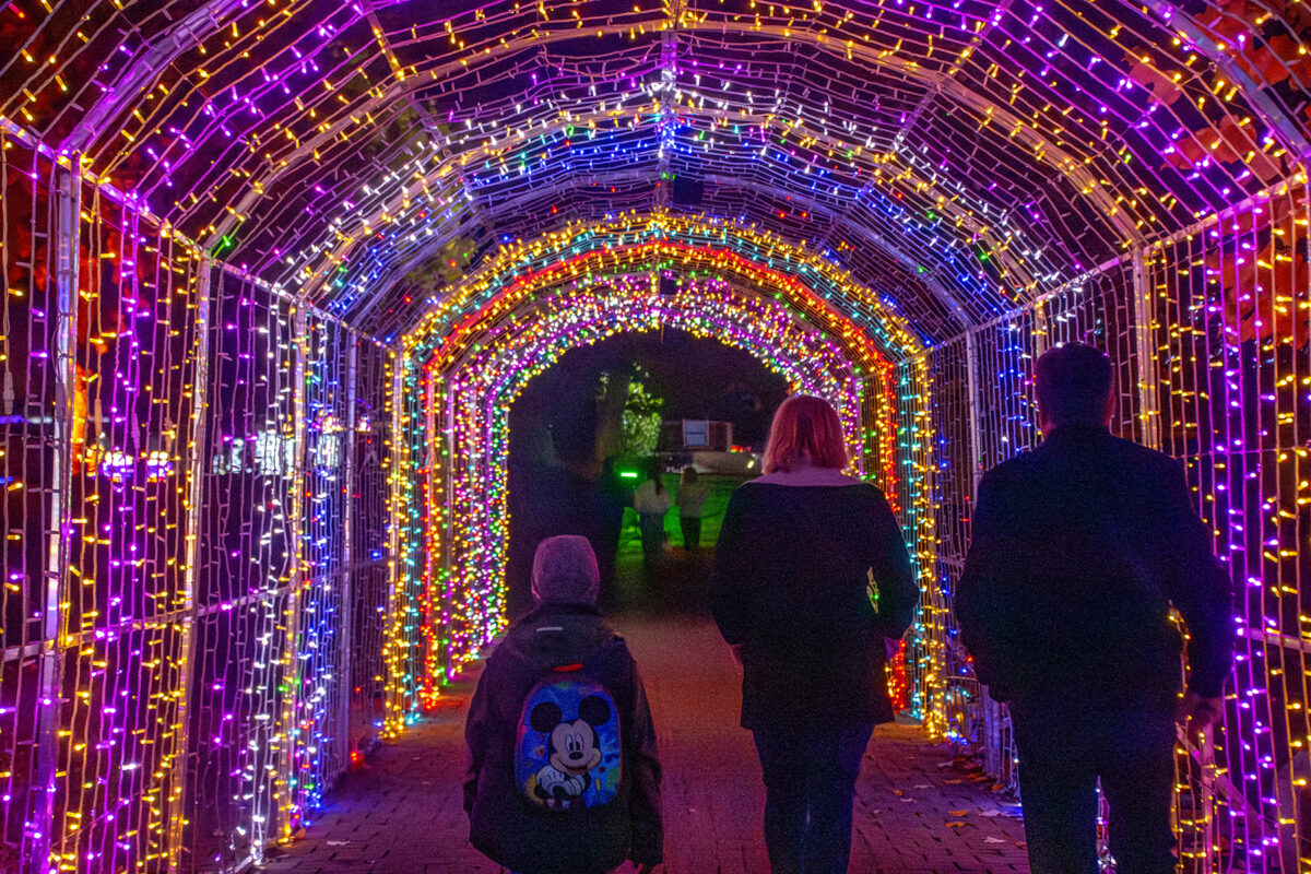 Lumina Park 2025 Margitsziget Palatinus strand Varázsvilág