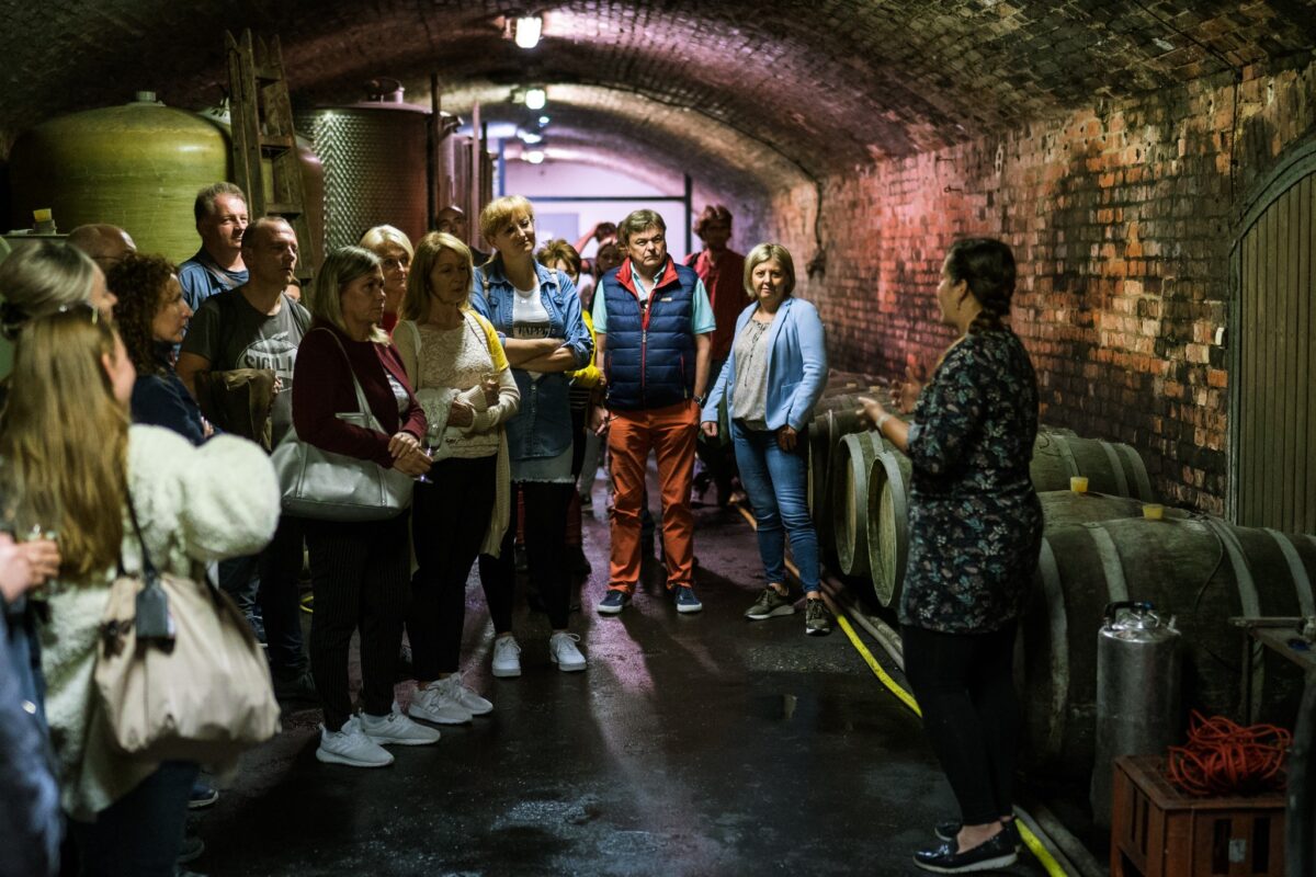 Budafoki Pincejárat