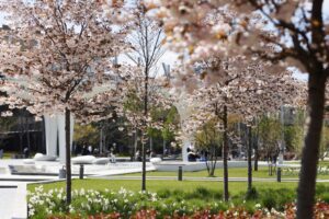 Millenáris Széllkapu-park