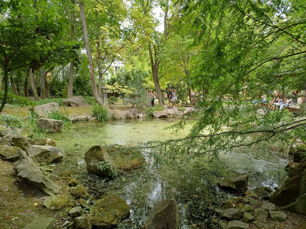 szentendrei japánkert